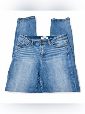 BKE Gabby Curvy Fit High Rise Straight Leg Jeans stretchy Women’s Size 29